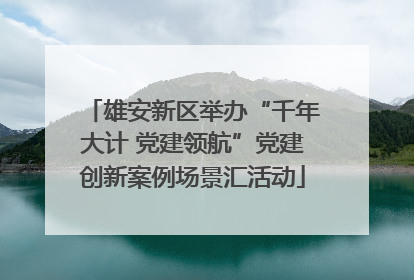 雄安新区举办“千年大计 党建领航”党建创新案例场景汇活动