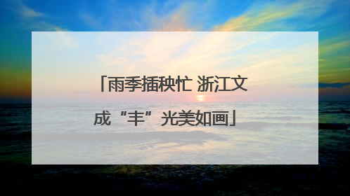 雨季插秧忙 浙江文成“丰”光美如画