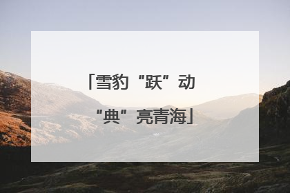 雪豹“跃”动 “典”亮青海