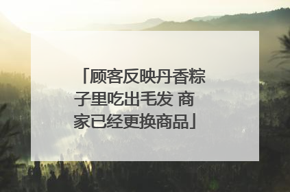 顾客反映丹香粽子里吃出毛发 商家已经更换商品