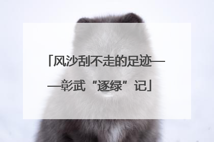 风沙刮不走的足迹——彰武“逐绿”记