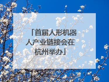首届人形机器人产业链接会在杭州举办