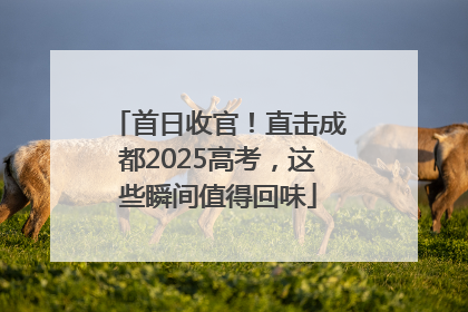 首日收官！直击成都2025高考，这些瞬间值得回味