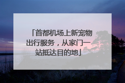 首都机场上新宠物出行服务，从家门一站抵达目的地