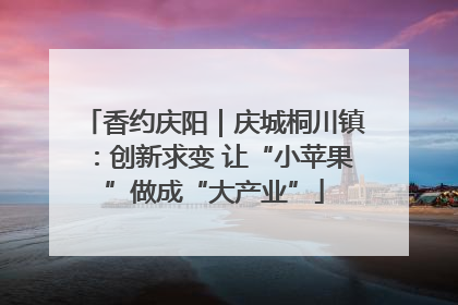 香约庆阳｜庆城桐川镇：创新求变 让“小苹果”做成“大产业”