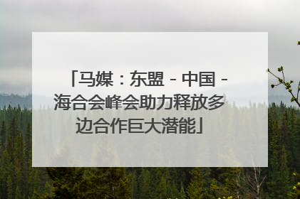 马媒：东盟－中国－海合会峰会助力释放多边合作巨大潜能