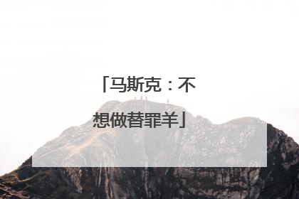 马斯克：不想做替罪羊