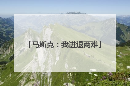 马斯克：我进退两难