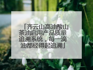 齐云山高油酸山茶油启用产品质量追溯系统，每一滴油都经得起追溯