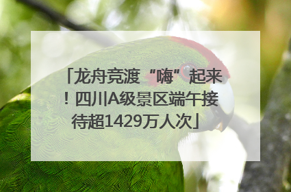 龙舟竞渡“嗨”起来！四川A级景区端午接待超1429万人次
