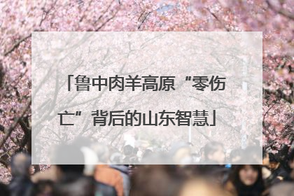 鲁中肉羊高原“零伤亡”背后的山东智慧