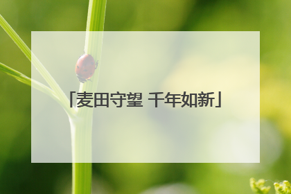 麦田守望 千年如新