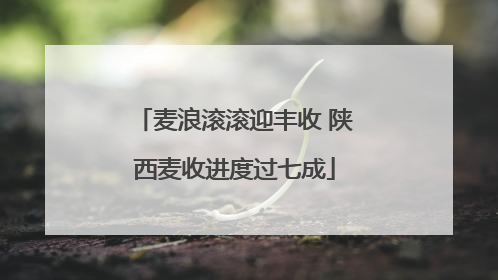 麦浪滚滚迎丰收 陕西麦收进度过七成