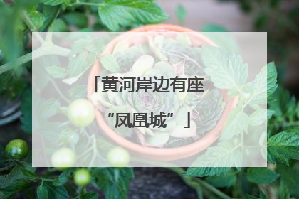 黄河岸边有座“凤凰城”