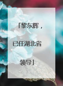 黎东辉，已任湖北省领导