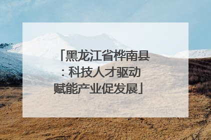 黑龙江省桦南县：科技人才驱动 赋能产业促发展