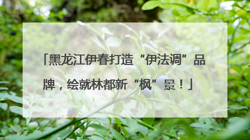 黑龙江伊春打造“伊法调”品牌，绘就林都新“枫”景！