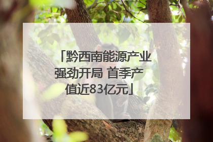黔西南能源产业强劲开局 首季产值近83亿元