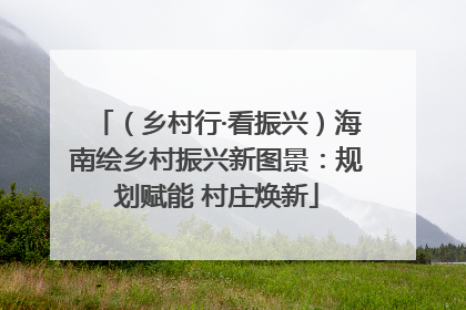 （乡村行·看振兴）海南绘乡村振兴新图景：规划赋能 村庄焕新