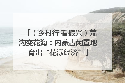 （乡村行·看振兴）荒沟变花海：内蒙古闲置地育出“花漾经济”