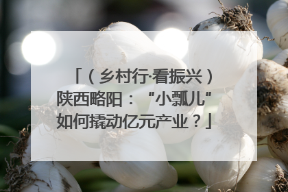 （乡村行·看振兴）陕西略阳：“小瓢儿”如何撬动亿元产业？