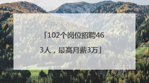 102个岗位招聘463人，最高月薪3万