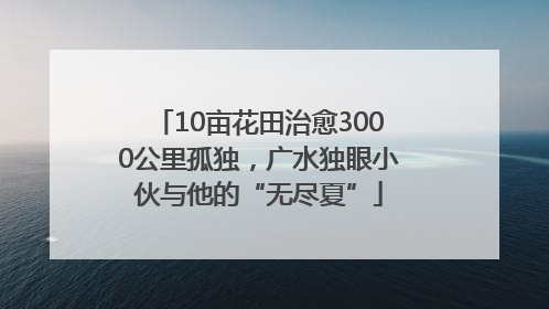 10亩花田治愈3000公里孤独，广水独眼小伙与他的“无尽夏”