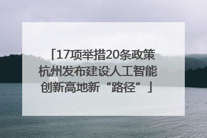 17项举措20条政策 杭州发布建设人工智能创新高地新“路径”