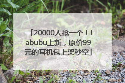 20000人抢一个！Labubu上新，原价99元的耳机包上架秒空