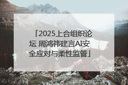 2025上合组织论坛 周鸿祎建言AI安全应对与柔性监管