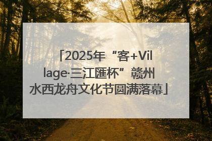 2025年“客+Village·三江匯杯”赣州水西龙舟文化节圆满落幕
