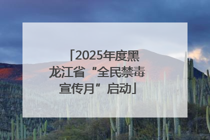 2025年度黑龙江省“全民禁毒宣传月”启动
