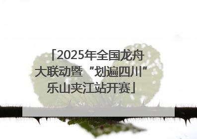 2025年全国龙舟大联动暨“划遍四川”乐山夹江站开赛