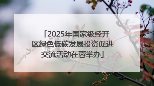 2025年国家级经开区绿色低碳发展投资促进交流活动在蓉举办