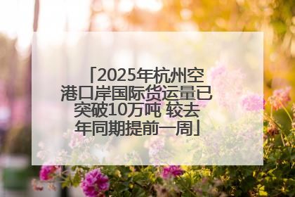2025年杭州空港口岸国际货运量已突破10万吨 较去年同期提前一周