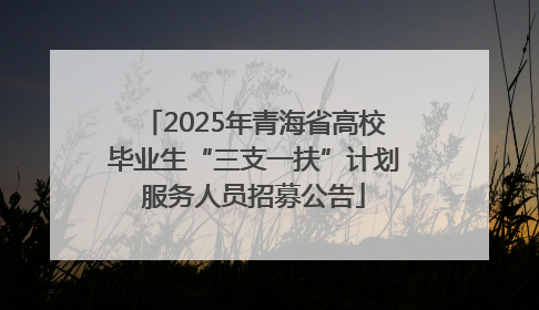 2025年青海省高校毕业生“三支一扶”计划服务人员招募公告