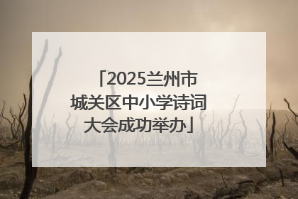 2025兰州市城关区中小学诗词大会成功举办