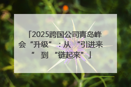 2025跨国公司青岛峰会“升级”：从 “引进来” 到 “链起来”