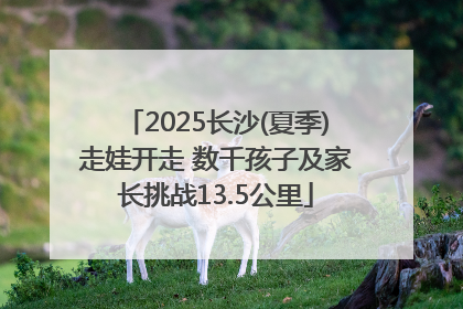 2025长沙(夏季)走娃开走 数千孩子及家长挑战13.5公里