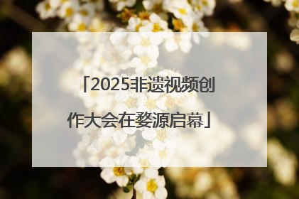2025非遗视频创作大会在婺源启幕