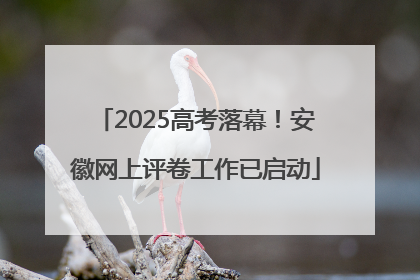 2025高考落幕！安徽网上评卷工作已启动
