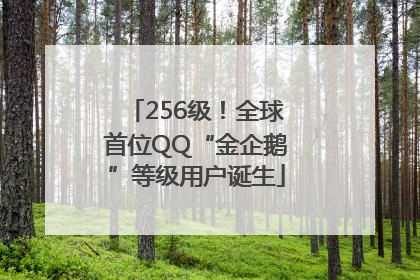 256级！全球首位QQ“金企鹅”等级用户诞生