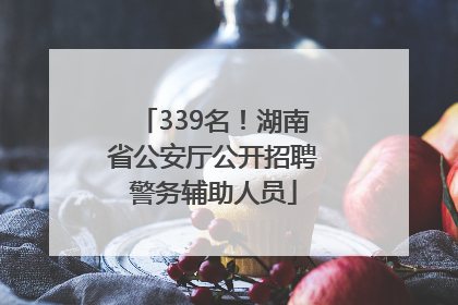 339名！湖南省公安厅公开招聘警务辅助人员