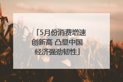 5月份消费增速创新高 凸显中国经济强劲韧性