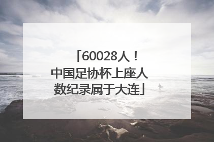 60028人！中国足协杯上座人数纪录属于大连