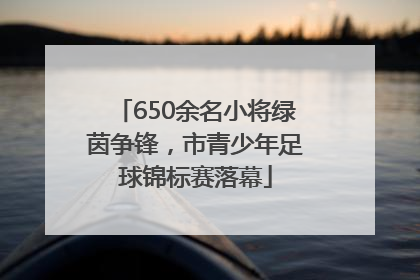 650余名小将绿茵争锋，市青少年足球锦标赛落幕