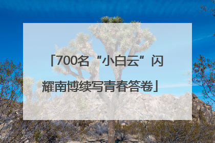 700名“小白云”闪耀南博续写青春答卷