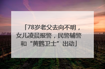 78岁老父去向不明，女儿凌晨报警，民警辅警和“黄鹤卫士”出动