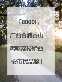 8000斤广西合浦香山鸡嘴荔枝赠西安市民品鉴
