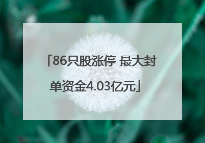 86只股涨停 最大封单资金4.03亿元